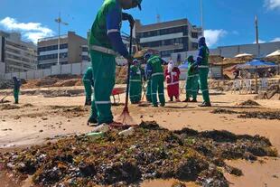 Los trabajadores limpian las playas de Bahía.