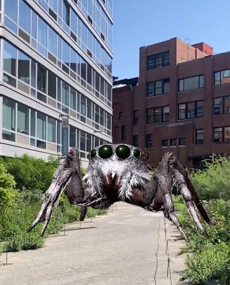 One of the spiders created by Tomás Saraceno and Acute Art in augmented reality, which was exhibited at the High Line and from Saturday can be seen at Fundación Proa