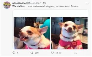 Memes tras la entrevista de Susana Giménez a Wanda Nara (Foto: Captura Twitter/@OjoDeLoca_1)