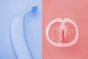 En el caso de los hombres, el esperma puede contaminar a la persona que practica sexo oral. Las mujeres pueden tener algún patógeno en el líquido lubricante de la vagina
