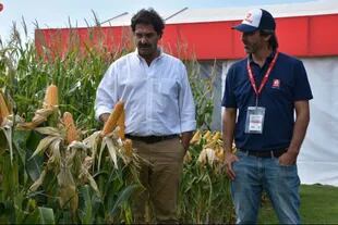 Sarquís vaticinó una cosecha de 15 millones de toneladas de maíz