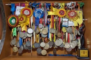 Medallas y premios ganados en competencias de tiro por Chandro Tomar, de 89 años, en su casa en el pueblo de Johri, la India, 14 de febrero de 2021