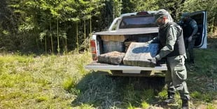 Gendarmería incautó, tras una persecución por el monte, más de 1000 kilos de cannabis; fue en San Ignacio, Misiones