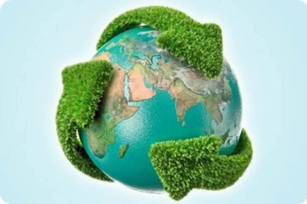 por qué Bourgeon novedad Día de la Tierra: 5 acciones para contribuir con el cuidado del medio  ambiente - LA NACION