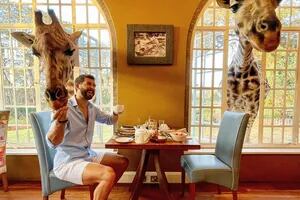 Caminar con elefantes o desayunar con jirafas: los 10 hoteles donde se puede convivir con animales
