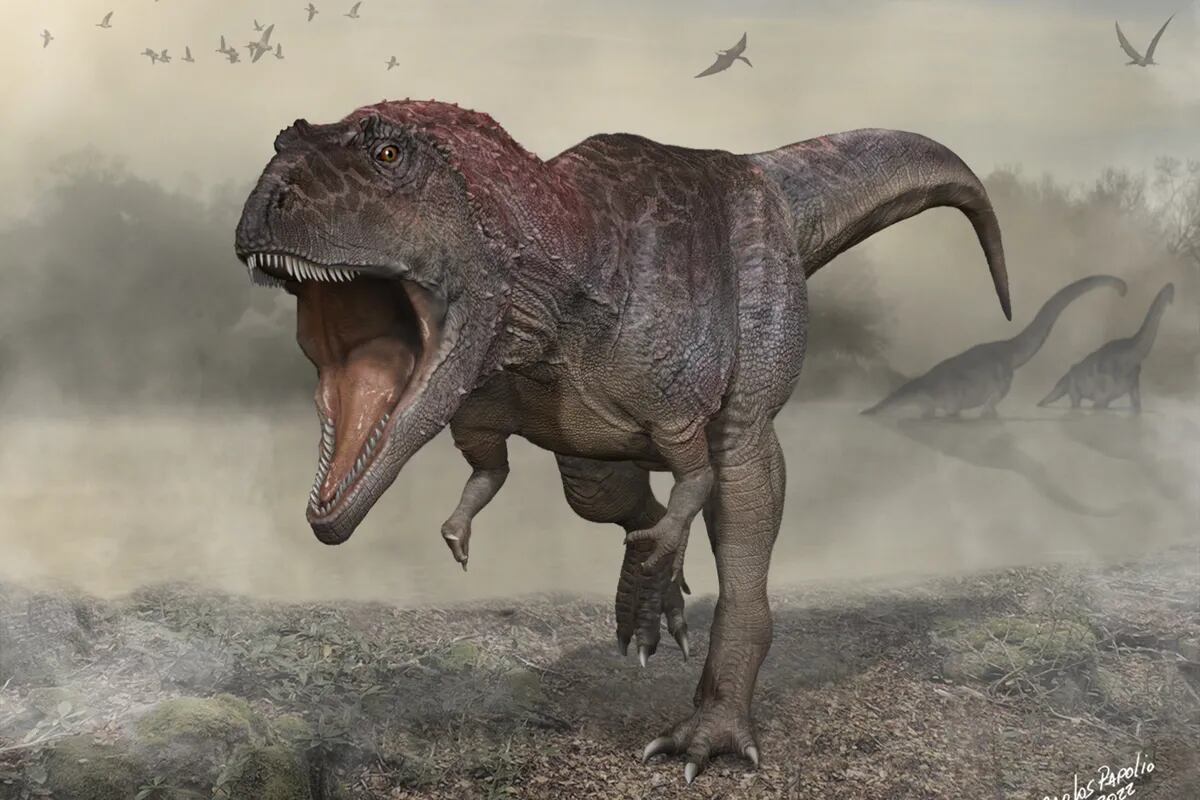 Hallaron el esqueleto más completo del “devorador de dinosaurios” que vivió  hace 96 millones de años en la Patagonia - LA NACION