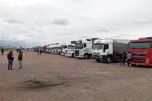 Reclamos de los transportistas de carga argentinos, en Mendoza, por el control sanitario fronterizo implementado por las autoridades chilenas