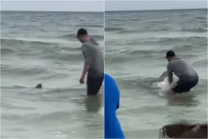 Pescaba en una playa de Florida y sacó un tiburón: la increíble reacción de los bañistas al verlo