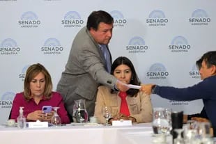 El senador por Río Negro, Alberto Weretilneck, votaría con el Frente de Todos y apoyaría el proyecto kirchnerista