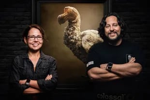 Beth Shapiro, a la izquierda, liderará los esfuerzos científicos para resucitar al dodo en Colossal Biosciences, fundada por el empresario tecnológico Ben Lamm, a la derecha.