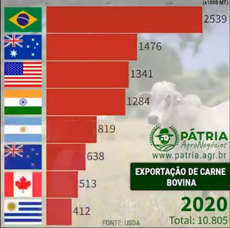 Captura del video de Patria, de Brasil