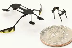 Así son los micro robots más pequeños creados hasta ahora