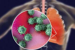 El coronavirus puede causar lesiones severas en los pulmones