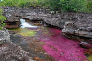 El río de los siete colores es uno de los atractivos naturales de Colombia