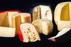 Una feria imperdible para los amantes del queso en todas sus formas
