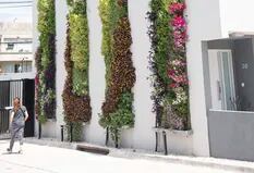 Jardines verticales: seis paredes verdes para dar vida y color a los espacios