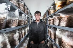 Nicolás Drukaroff, en su laboratorio