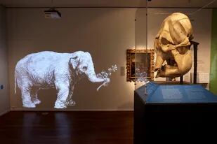 La fascinante y trágica historia de Hansken, la elefanta que inmortalizó Rembrandt