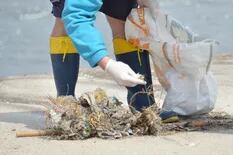 Limpieza de playas. Más del 80% de la basura en la costa bonaerense es plástica