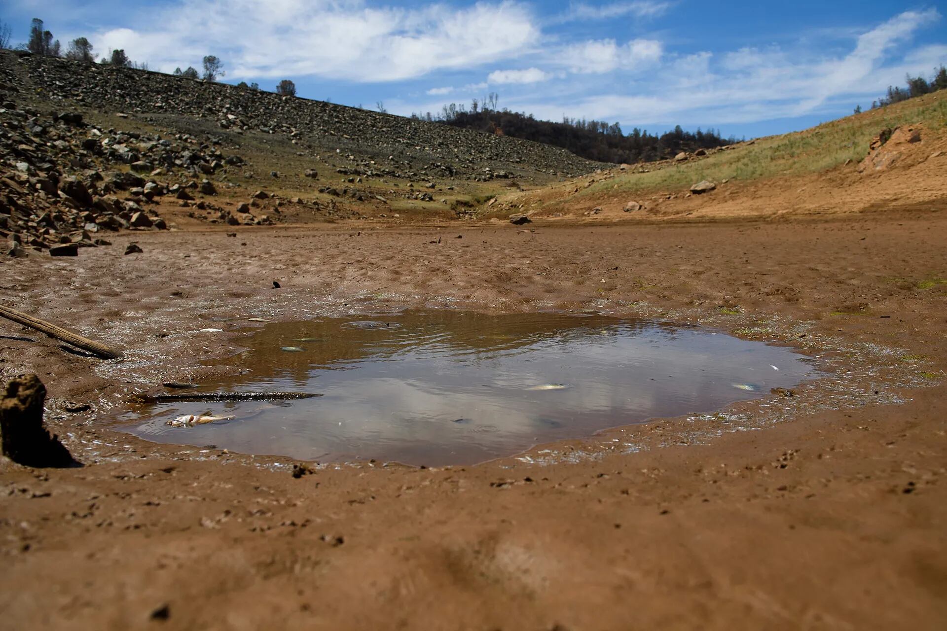 En fotos: alarma por la sequía en California antes de la llegada del verano