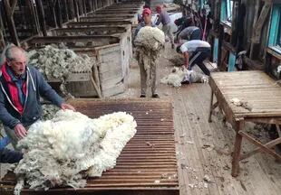 El galpón de esquila. Durante muchos años, la estancia se dedicó la producción de lana, primero con la raza Romney Marsh, luego con Corriedale y finalmente con MPM (Merino multipropósito)