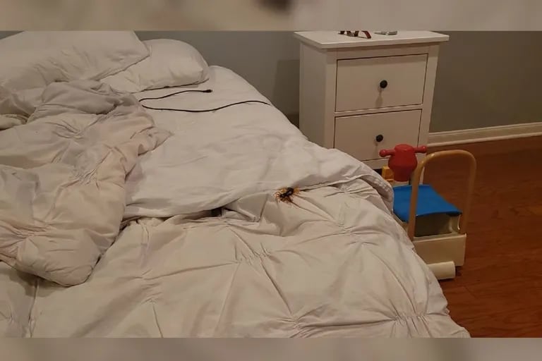 He woke up in the morning and found a strange creature in his bed: “I knew it wasn’t a good thing”