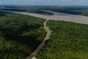 Brasil inicia la Cumbre por la Amazonía para lograr un acuerdo para proteger a la principal selva tropical del planeta