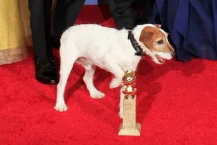 Uggie, el perro de El artista, en los Globos de Oro