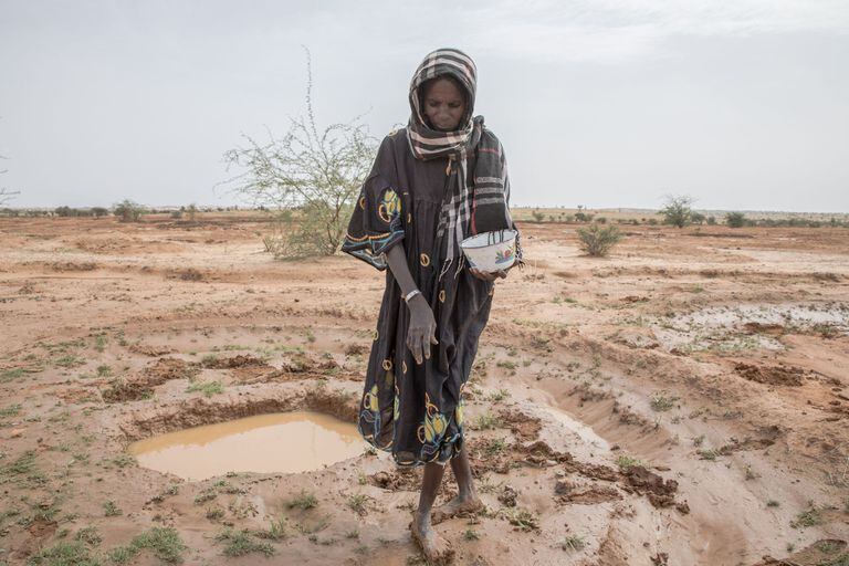 21-04-2020 Una mujer plantando en la región de Tahoua, en Níger POLITICA AFRICA NÍGER INTERNACIONAL WFP/SIMON PIERRE DIOUF