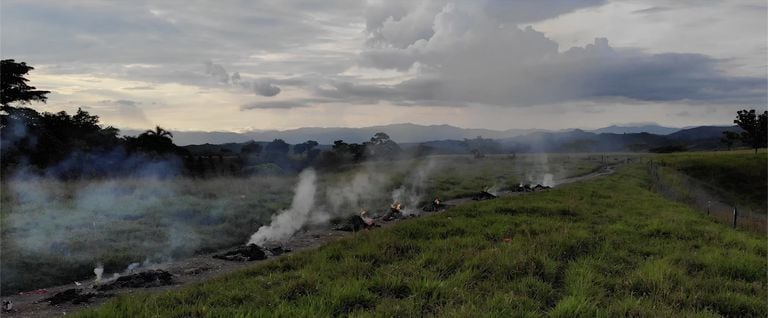 Still del video de Oscar Murillo, "Collective conscience" (2021), que participa de la muestra colectiva internacional "Give and Give", en el Museo Franklin Rawson 