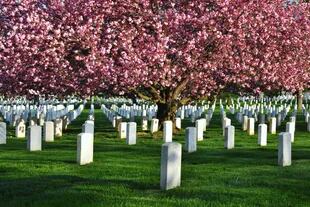 48 horas en Washington DC: cementerio de Arlington, en Virginia