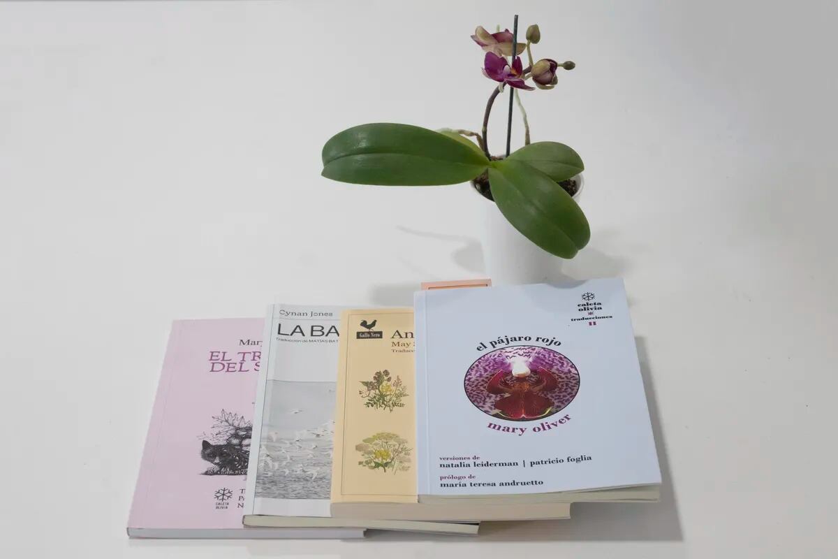 Floricultura: orquídeas y libros - LA NACION