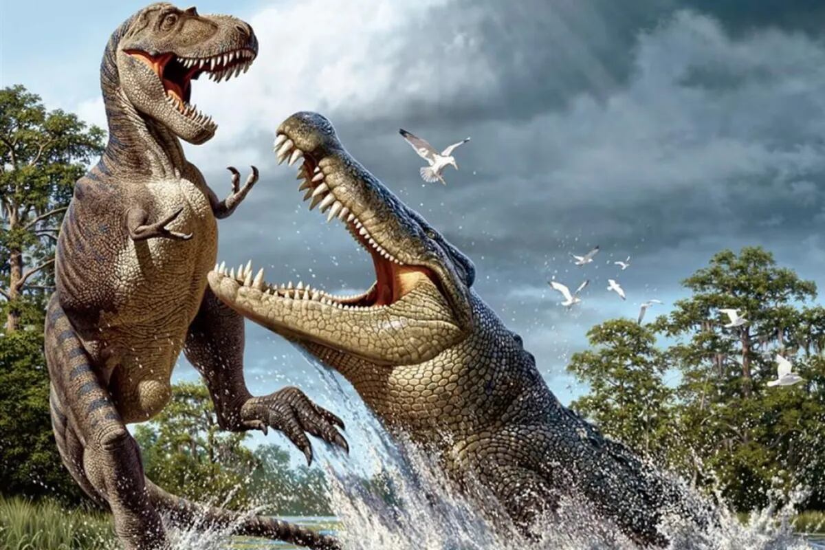 Por qué los cocodrilos cambiaron tan poco desde la era de los dinosaurios -  LA NACION