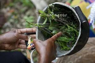Los papúes recurren a sanaciones y hierbas tradicionales para mantener el virus al margen