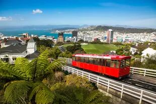 A View Of The City Of Wellington, The Capital Of New Zealand