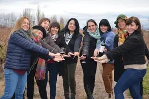 Un vino elaborado por un grupo de mujeres llegará por primera vez a Estados Unidos