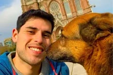 Un perro callejero y un cartel lo inspiraron y creó una app para encontrar mascotas perdidas que es furor