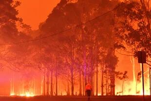 Los incendios arrasan en Nueva Gales del Sur