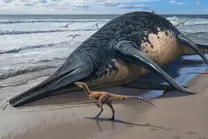 Cómo era el antiguo reptil marino del tamaño de dos autobuses cuyo fósil fue hallado en una playa de Reino Unido