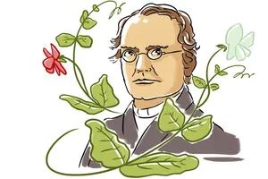 Mendel, el monje que en su jardín de arvejas descubrió las leyes de la herencia genética