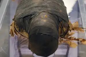 Reconstruyeron el rostro de una momia egipcia y descubrieron la rara condición que la afectaba