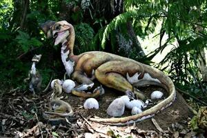 Extraordinario: descubren el fósil de un dinosaurio sentado en su nido de huevos