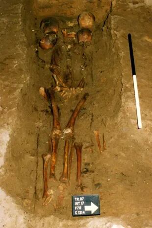 El análisis comparativo del ADN de ambos restos con el extraído de las calaveras convierte al conjunto funerario en una tumba familiar