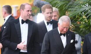 El príncipe Carlos aseguró que está orgulloso de sus hijos por su lucha contra el cambio climático