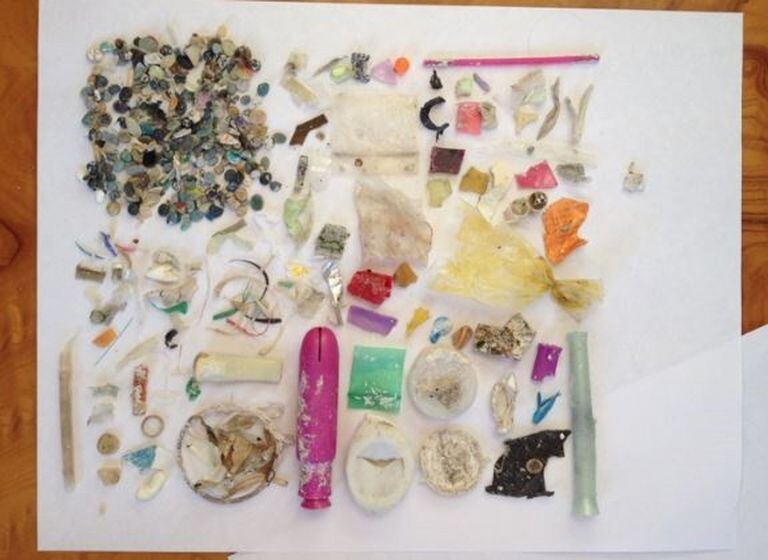 Hubo un aumento sin precedentes del plástico en los océanos desde 2005 