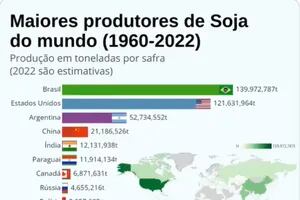 El video con un alarmante interrogante sobre la soja en la Argentina