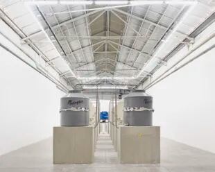 Los tanques de mil litros, alineados sobre pedestales, como si fuera una sala de bustos en un museo