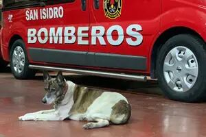 La despedida de los bomberos de San Isidro a Bombi, la mascota del cuartel
