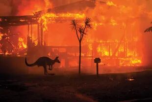 Eventos meteorológicos extremos, como los incendios en Australia, han aumentado su frecuencia y magnitud 
