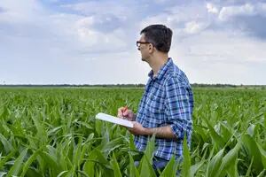 AgTech: la agricultura digital desafía a los ingenieros agrónomos